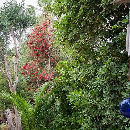 Homey Suite In Zichron Yaakov Zikhron Ya'akov Esterno foto