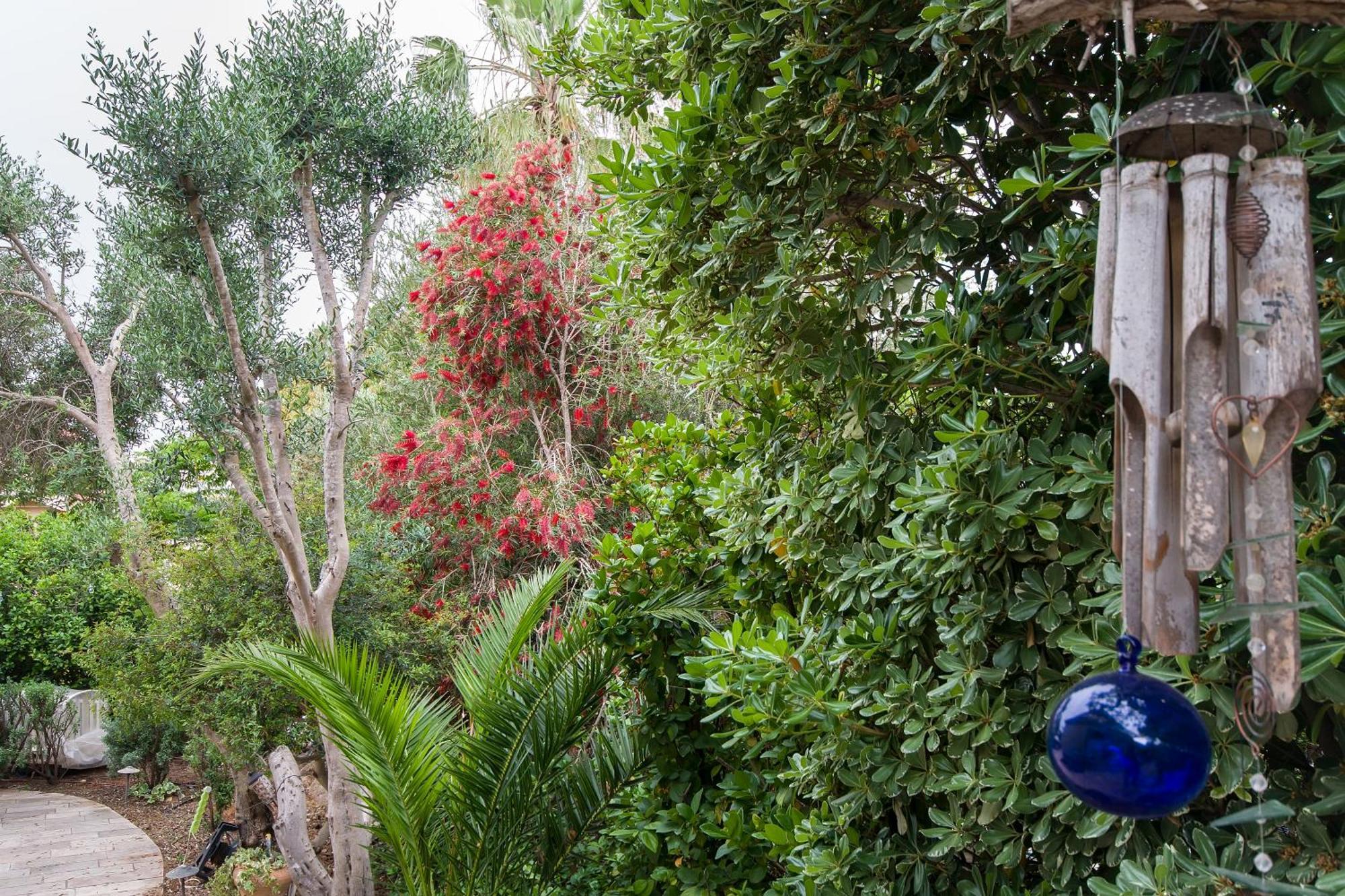 Homey Suite In Zichron Yaakov Zikhron Ya'akov Esterno foto